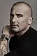 Dominic Purcell