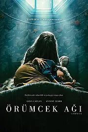 Örümcek Ağı