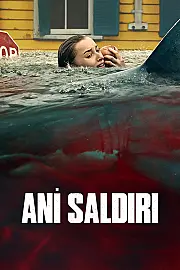 Ani Saldırı