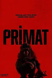 Primat